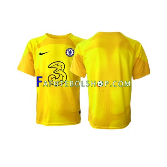 Camisa Goleiro 2 Chelsea 2022-2023 manga curta ,Masculino