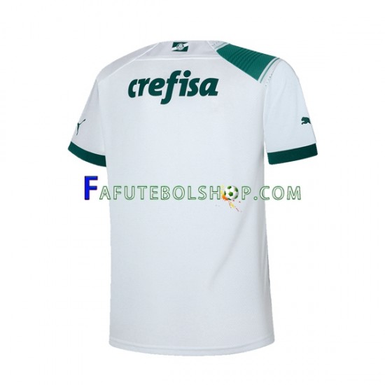 Camisa 2 Palmeiras 2023-2024 manga curta ,Masculino