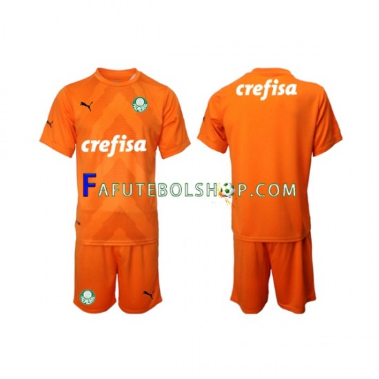 Camisa Goleiro 3 Palmeiras 2022-2023 manga curta ,infantil