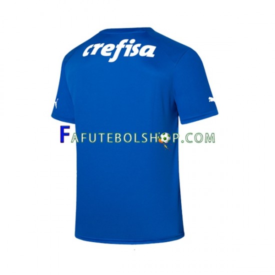 Camisa Goleiro 1 Palmeiras 2023-2024 manga curta ,Masculino