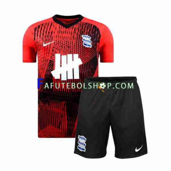 Camisa 2 Birmingham City 2023-2024 manga curta ,infantil