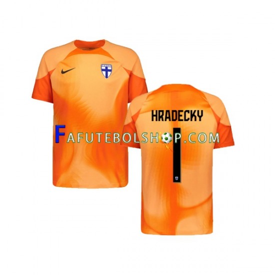 Camisa Goleiro 1 Finlândia HRADECKY 1  2022-2023 manga curta ,Masculino