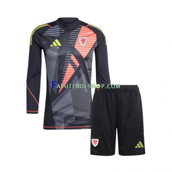 Camisa Goleiro 1 País de Gales 2024 manga longa ,infantil