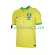 Camisa 1 Brasil Copa Do Mundo 2022 manga curta ,Masculino