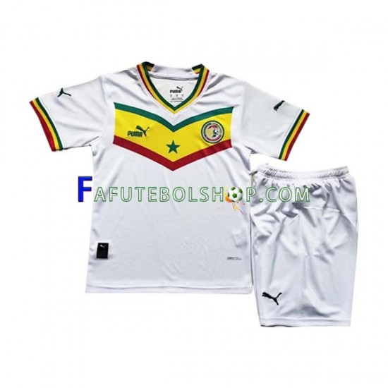 Camisa 1 Senegal Copa Do Mundo 2022 manga curta ,infantil